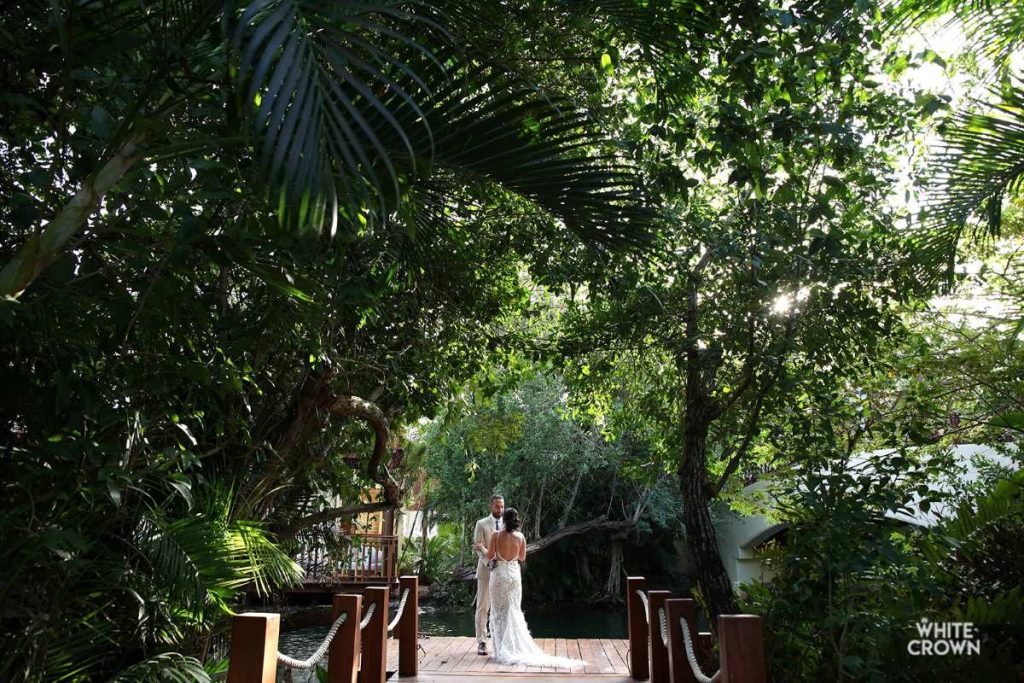 a beautiful tropical forest ideal for wedding photography at fairmont mayakoba