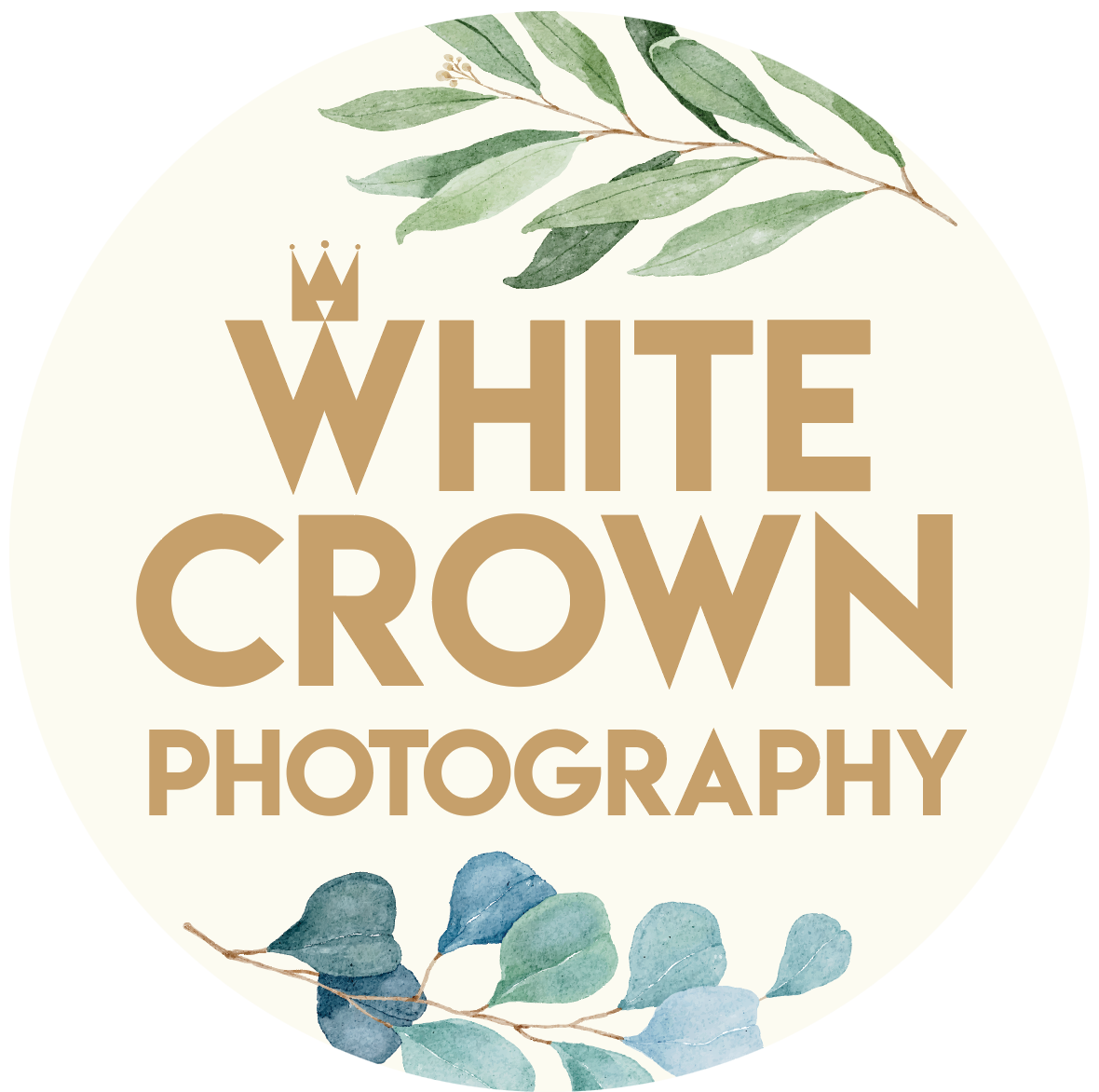Destination wedding Photography & Trash the Dress White Crown Photography